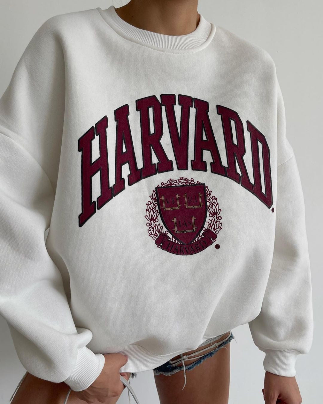 Women's Casual Fashion Printing Thickened All-match Top Long-sleeved Sweater